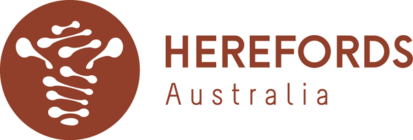 Herefords Australia