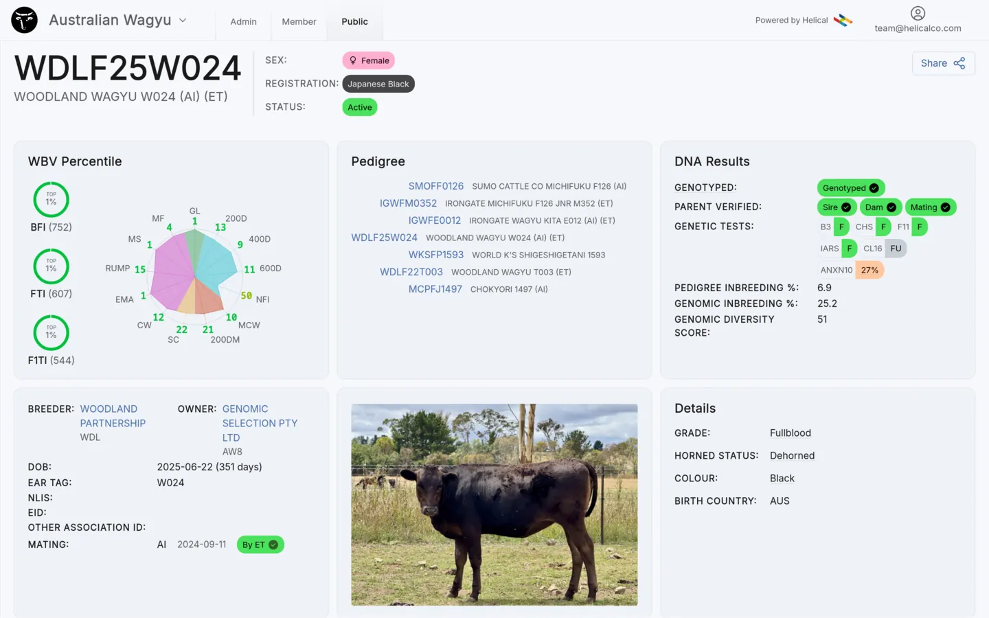 Helical dashboards and analytics screen