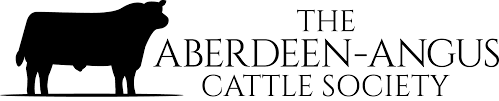UK Aberdeen Angus