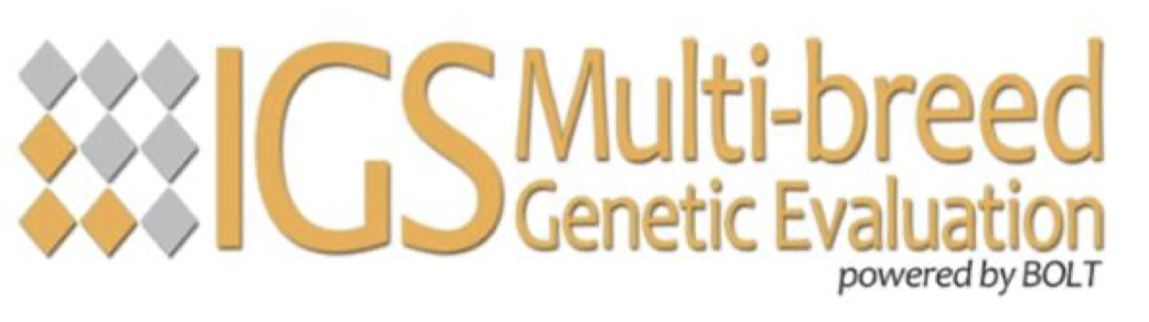 IGS Multi-breed Genetic Evaluation – Powered by BOLT