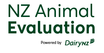NZ Animal Evaluation – Powered by DairyNZ